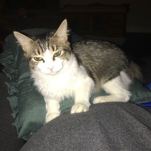 Meet your Posher, Kevin